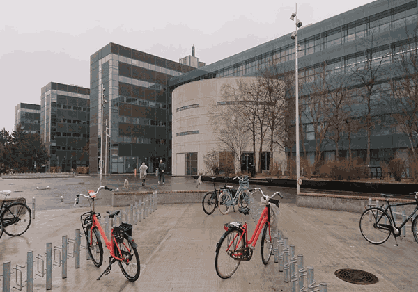 University of Alberta